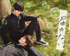 柚木视频海报剧照